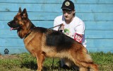 30.08.2015, Международная выставка в г. Хабаровск, CW, CAC, CACIB, BOB. Судья - С. Белогурова