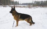 20.01.2015, 15 месяцев