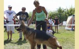 06.08.2016, Тула, 1Отл, Победитель класса робочих собак-кобелей, Судья РКФ-ФЦИ Горюгина И. (Самара)