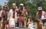 07.06.2014, Zuchtschau in Lipetsk (Russland), 1VV in Welpen Klasse-H, &quot;Best Puppy&quot;, Richter - Kozorez D. (Ukraine)