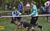 10.05.2014, Alle Rassen Austellung, Ussurisk (Russland), 1VV, CW, &quot;Best Puppy&quot;