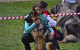 10.05.2014, Alle Rassen Austellung, Ussurisk (Russland), 1VV, CW, &quot;Best Puppy&quot;