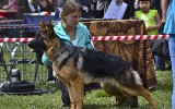 10.05.2014, Alle Rassen Austellung, Ussurisk (Russland), 1VV, CW, &quot;Best Puppy&quot;