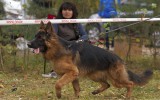 12.10.2014, Weißrussische Pokal, Gomel, 1VV in der NWKL-R LSTH, Richter FCI - Milan Mlynarcik