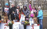 25.04.2015, Самара, 3 ОП в классе Подростков сук, Судья РКФ-ФЦИ - Куретов С.