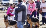 25.04.2015, Самара, 3 ОП в классе Подростков сук, Судья РКФ-ФЦИ - Куретов С.