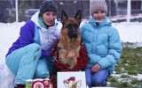 10.10.2015, Спец. выставка в Ижевске, 1-е место в классе Юниоры суки, ЮКЧК, судья  - О. Гордеев (Россия)