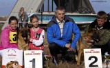 17.10.2015, Спец. выставка в Балаково, 1-е место в классе Юниоры суки, ЮКЧК, судья  - В. Федоров (Беларусь)