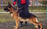 Осень 2016, 2,5 года