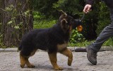 23.05.2016, 3,5 Месяцев