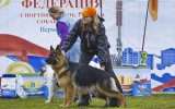 03.05.2017, всероссийская выставка в г. Пермь, Победительница класса Юниоров, Лучший Представитель породы, судья РКФ-ФЦИ Федотова С.