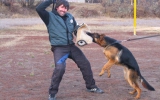 Hundeplatz, 8 Monate